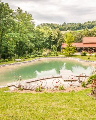 Country house with a pool in Medvednica Nature Park