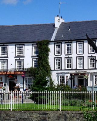 Neuadd Arms Hotel