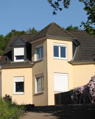 Villa Feyen in Trier
