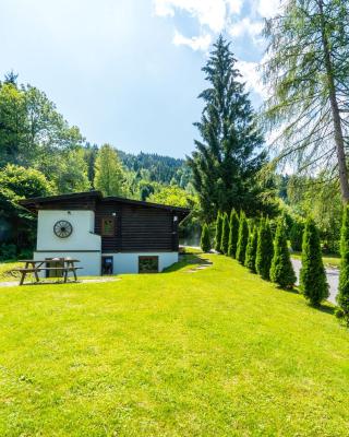 Cosy chalet in Tyrol with a private garden