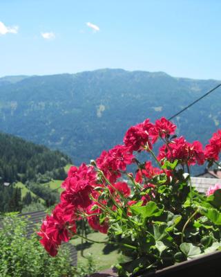 Two Family Appartement near Bad Kleinkirchheim