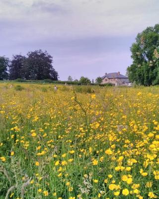 Castletownmoor Clinic & Permaculture Farm