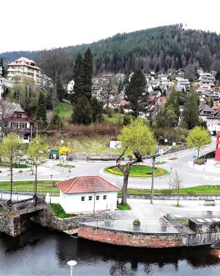 Ferienwohnung Enzblick