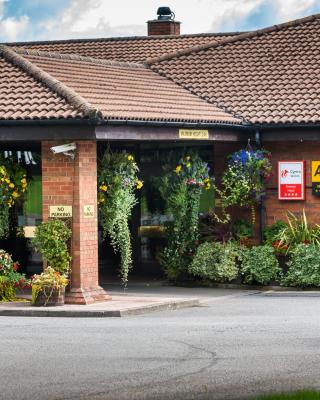 百汇温泉大酒店 