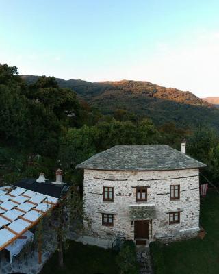 Stone Villa in the Forest