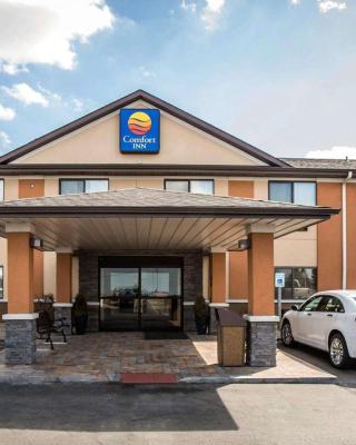 Comfort Inn Morris I-80