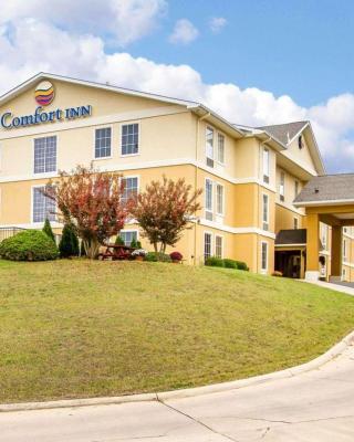 Comfort Inn Poplar Bluff North