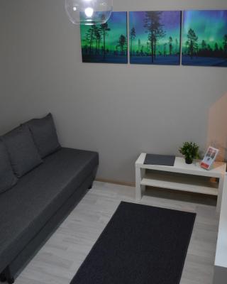 Aurora Haven Rovaniemi Modern DT Apartment -Self Check-In & Free Wifi-