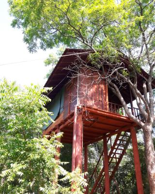 Dambulla Tree House
