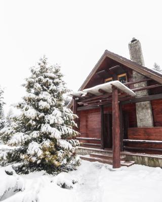 Cabane- Vila Crinul si Teodor Poiana Brasov