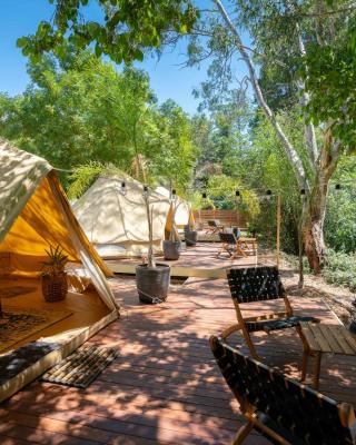 Castlemaine Gardens Luxury Glamping