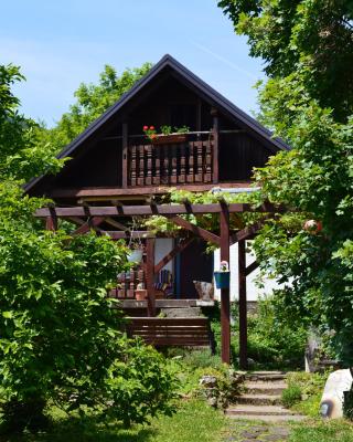 Na Okić - a private forest oasis