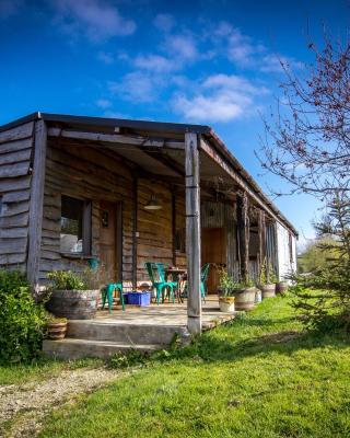 Ceridwen Glamping, double decker bus and Yurts