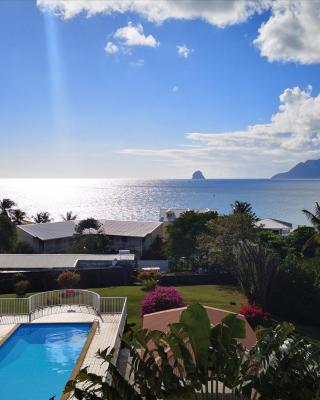 L'Hibiscus piscine et plage