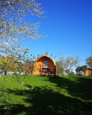 Cosy Camping Suffolk