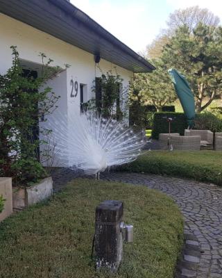 Ferienwohnung Kolb