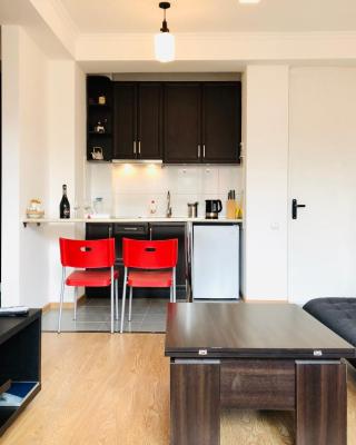 3-room Apartment NFT Gudauri Penta 202