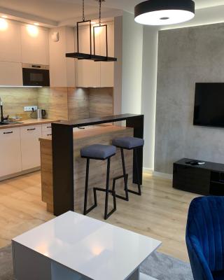 Apartament studio z widokiem na Odrę Bulwary Książęce