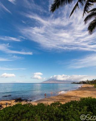 South Maui 1 BR Guest Suite - Kamaole Beach Area