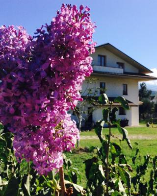 Agriturismo Le Terre d'Abruzzo Country House