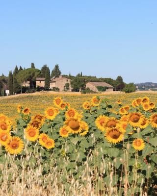 Il Poggio B&B