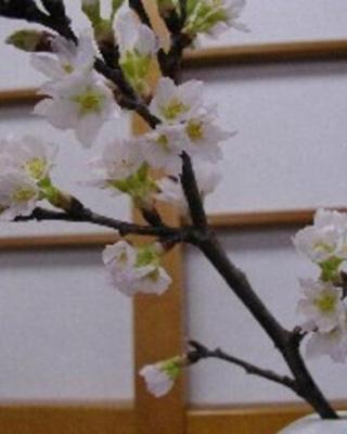 Wakaba Ryokan / Vacation STAY 29366