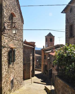 Le civette