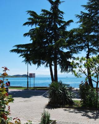 Vila Delfin