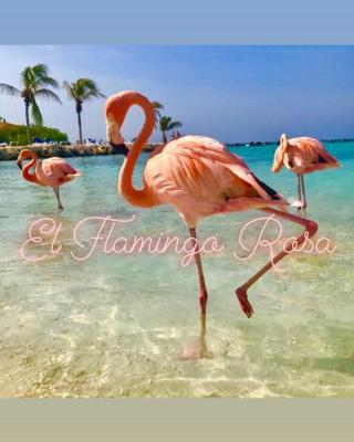 El Flamingo Rosa Cod IUN P5386