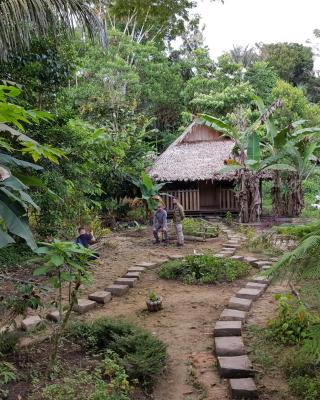 奥姆肖迪山林小屋