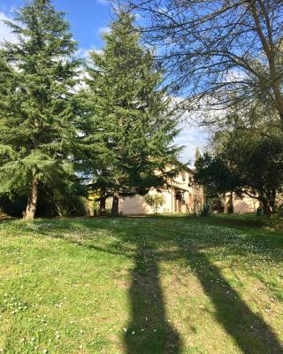 Agriturismo Bethsaid
