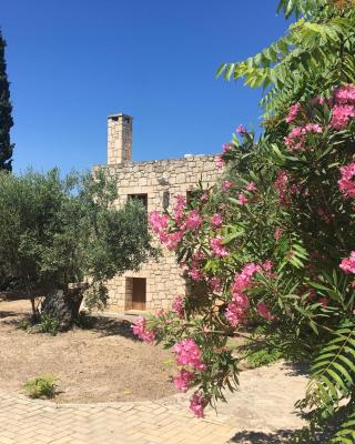 PYRGOS RALLI ESTATE Apartments and Suites