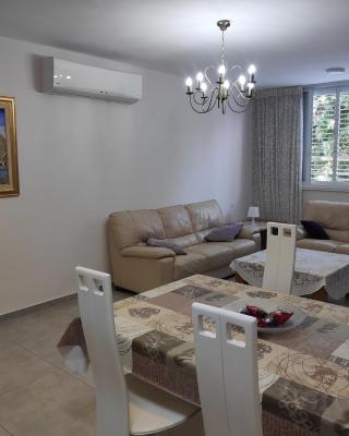 Herzliya Center Apartments