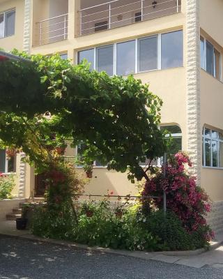 Vila Andre