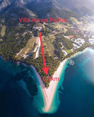 Villa Aurea Palma