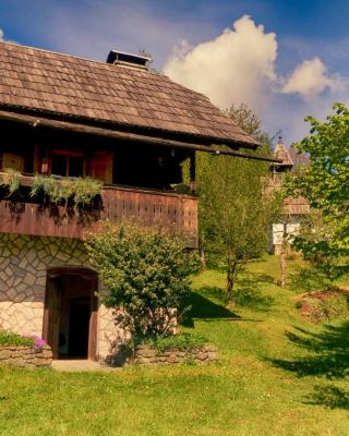 Domačija Koklej - Apartments Vintage Vacation