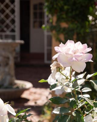 Roses and Pebbles B & B Guest House