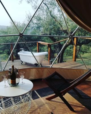 Cerchio Del Desiderio Glamping Retreat