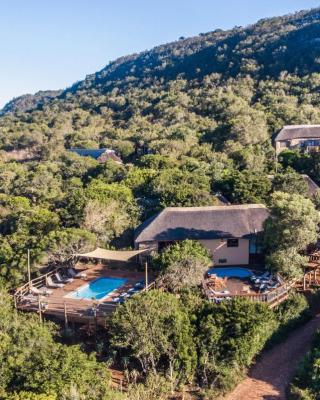 Woodbury Lodge – Amakhala Game Reserve