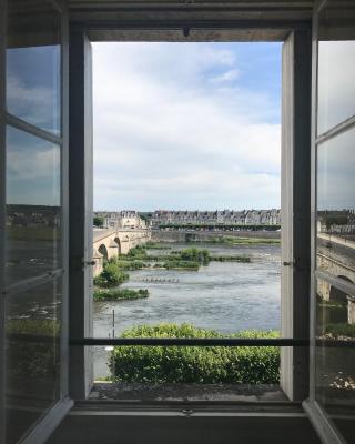 Blois, vue panoramique Loire