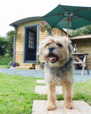 Buttles Shepherd's Hut