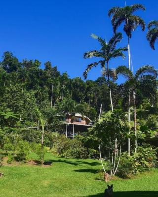 A Daintree Garden