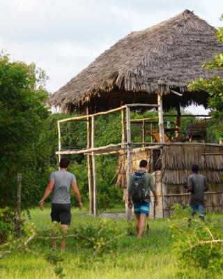 Mida Creek Nature Camp