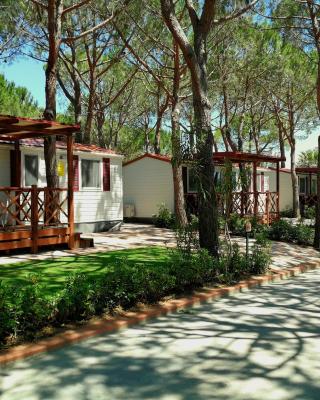 Victoria Mobilehome Tortoreto Lido