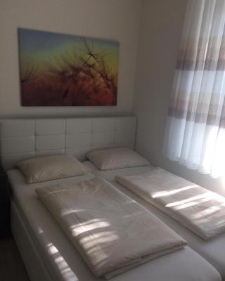 1,5 Zimmer Appartement