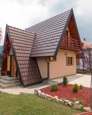 Mountain house Popović Tara