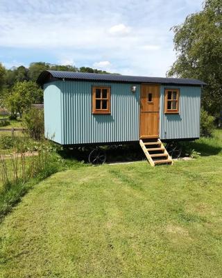Gaggle of Geese Pub - Shepherd Huts & Bell Tents