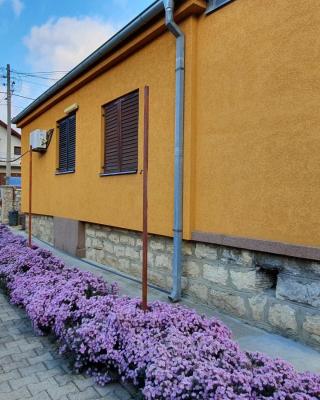 Guesthouse Stojanović