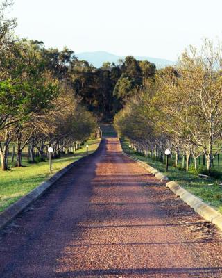 Blueberry Hill Vineyard Stay