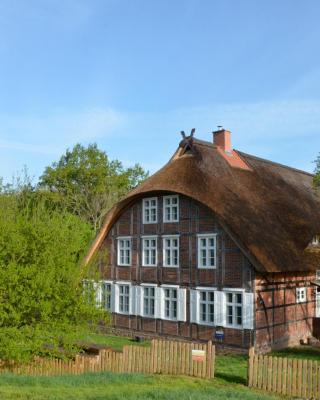 Deichkind - Reetdachhaus direkt am Elbdeich